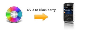 dvd to blackberry torch converter