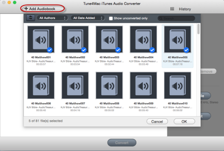 The Interface of AudioBook Converter