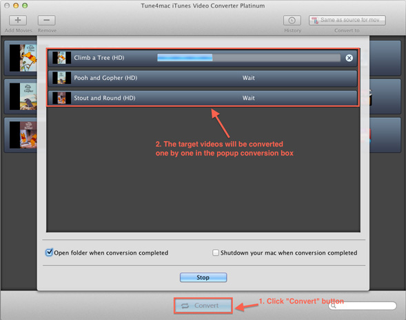 step-by-step tutorial of iTunes Video Converter Platinum