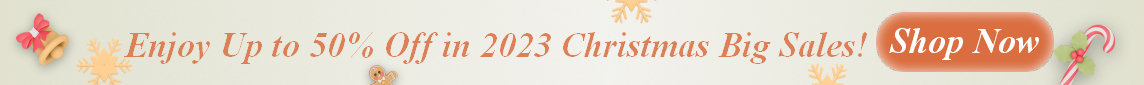 2023 christmas sale
