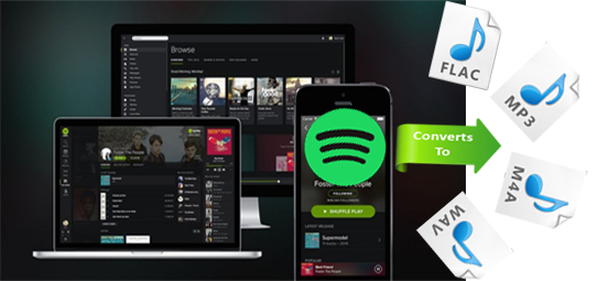 best spotify audio converter