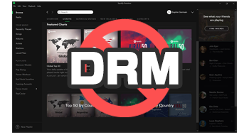 Spotify downloader