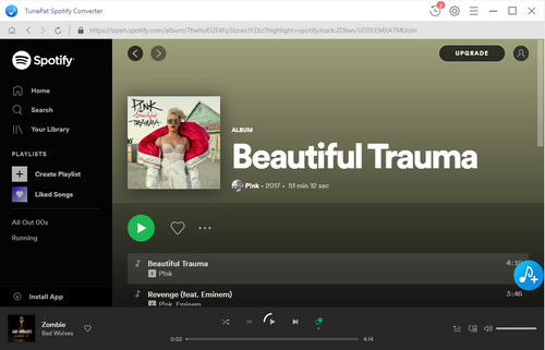 Download Pink Beautiful Trauma Full Album 2017 Mp3 For Free